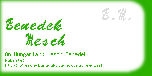 benedek mesch business card